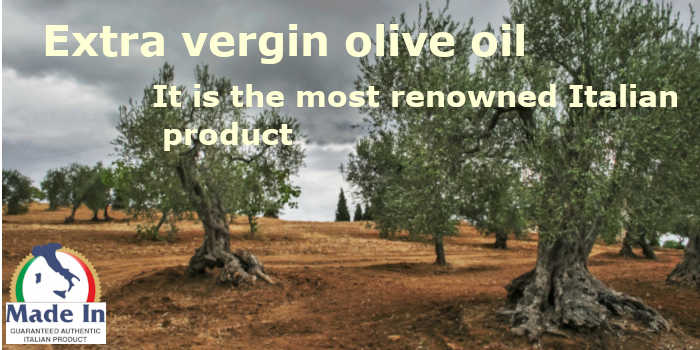 Secular olive trees Extra vergin olive oil